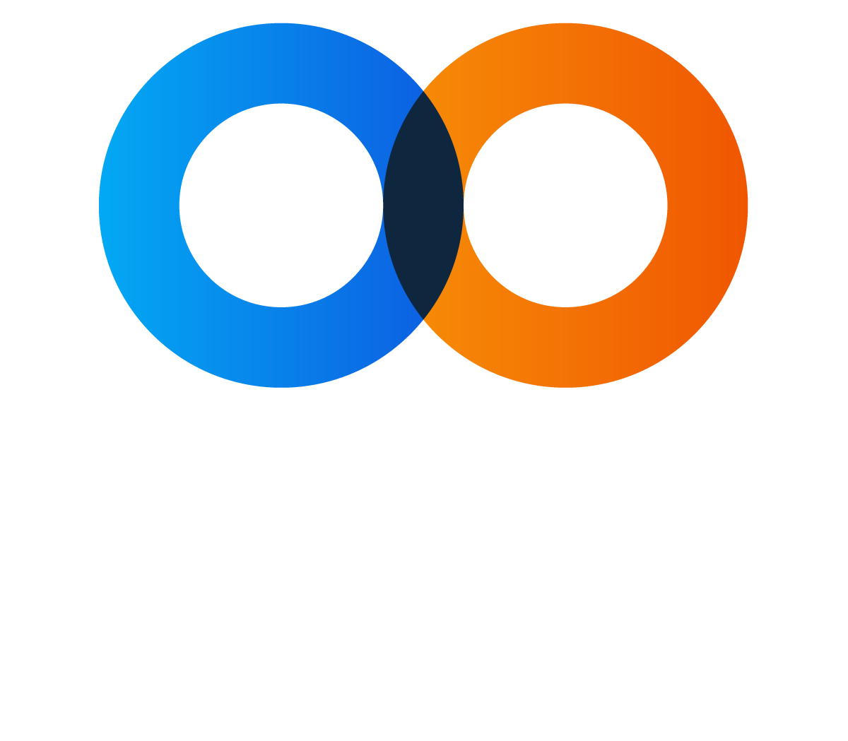 Double Loop GmbH - B2B Value Pricing & Value Selling